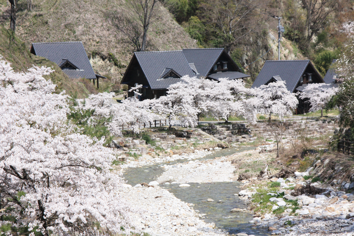 阿南温泉「かじかの湯」 イメージ